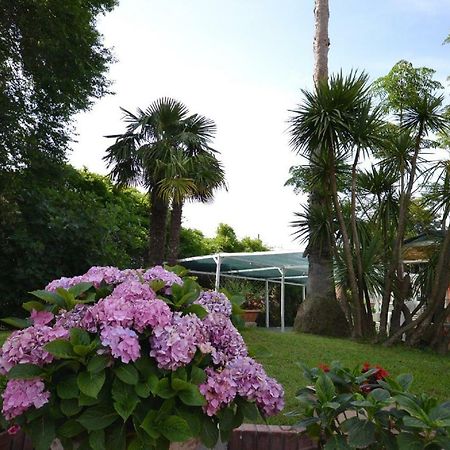 Bed and Breakfast Il Piccolo Nido Borgo Montenero Exterior foto
